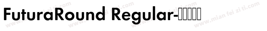 FuturaRound Regular字体转换